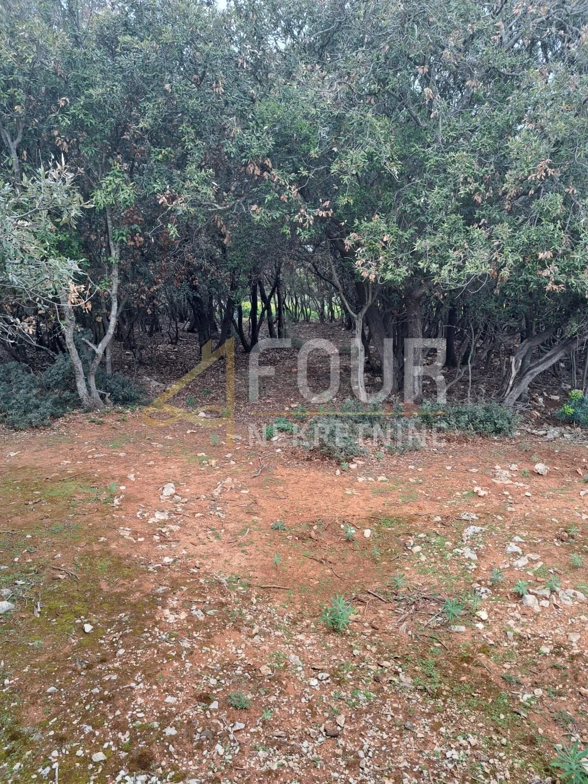 punta križa, poljoprivredno zemljište 7232m2 - slika 4