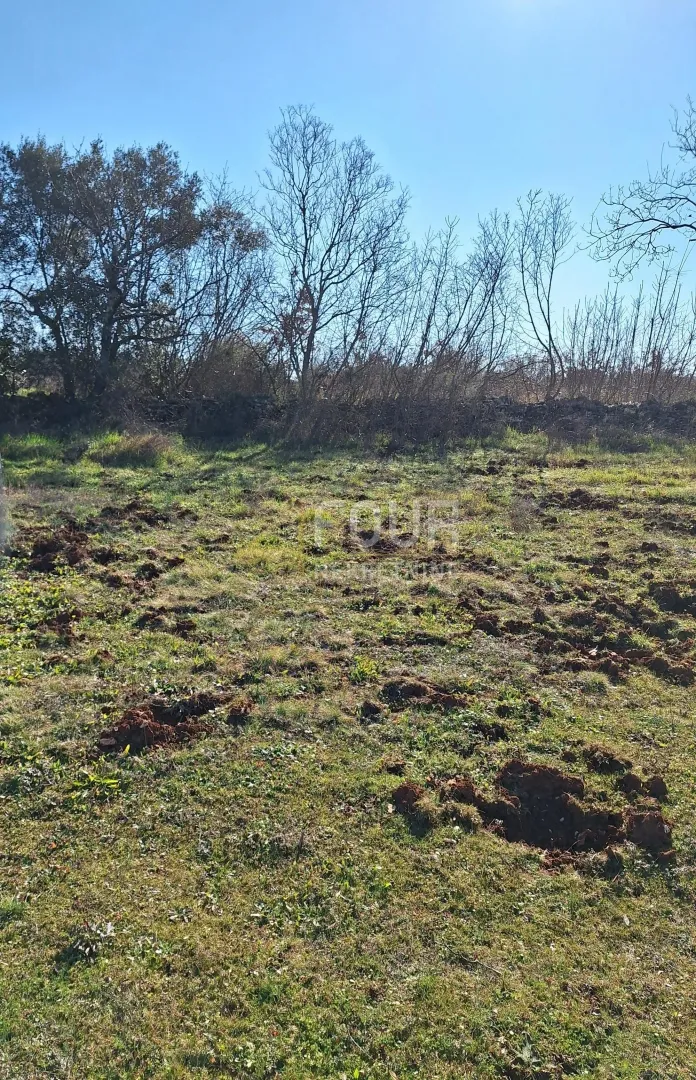 istra, marčana - okolica, građevinsko zemljište, 650m2 - slika 2