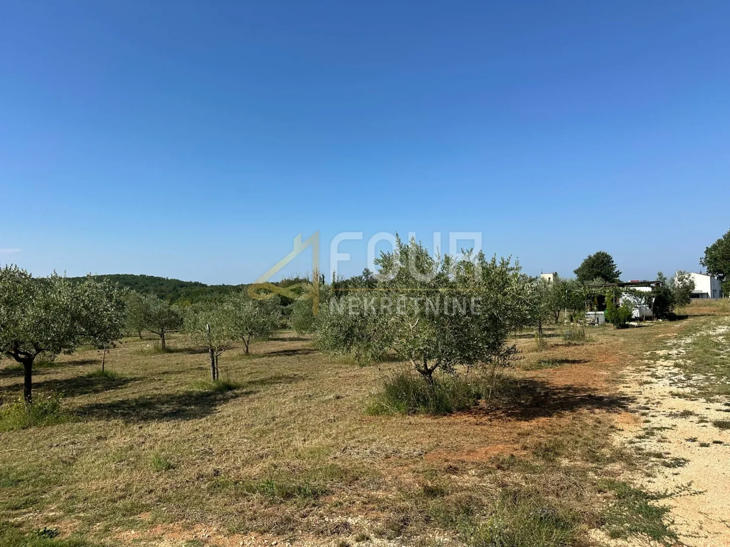 istra, poreč, građevinsko zemljište 3.317m2 - slika 5