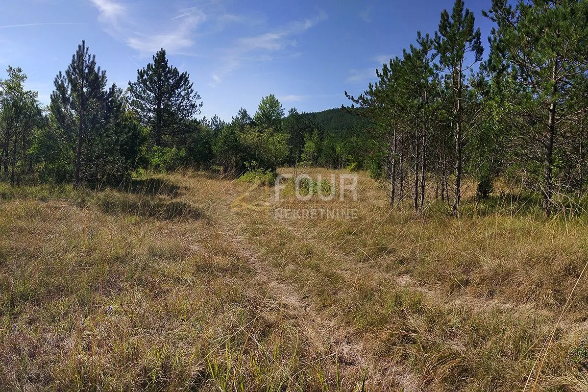 Istra, Kršan, zemljište 10.091m2