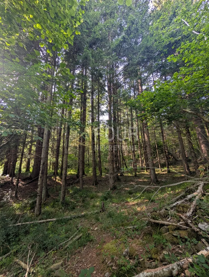 klana, poljoprivredno zemljište 1.908m2 - slika 1
