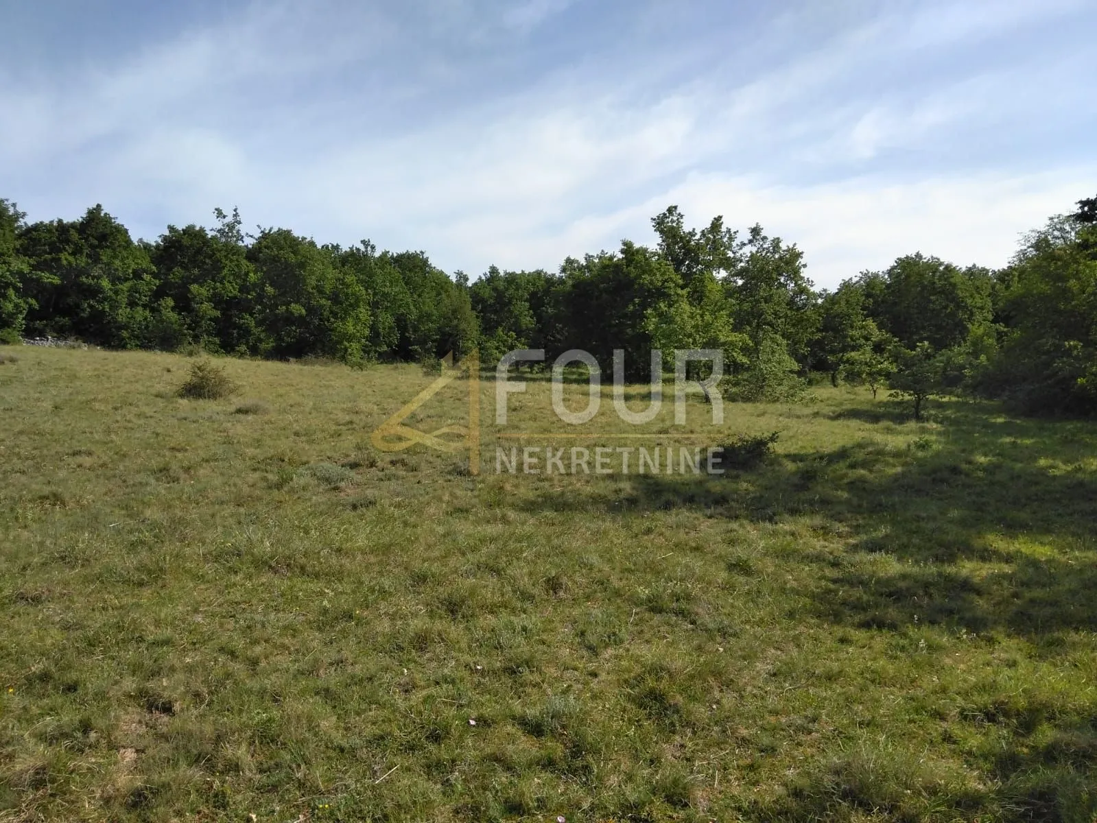 Istra, Višnjan - okolica, poljoprivredno zemljište 19.190m2