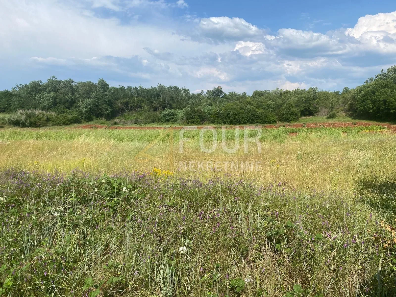 istra, baderna, poljoprivredno zemljište 53.691m2 - slika 2