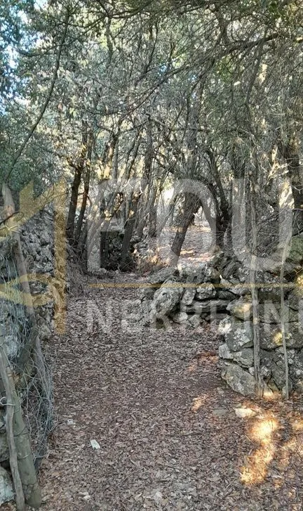 Belej, poljoprivredno zemljište - Belej, Mali Lošinj
