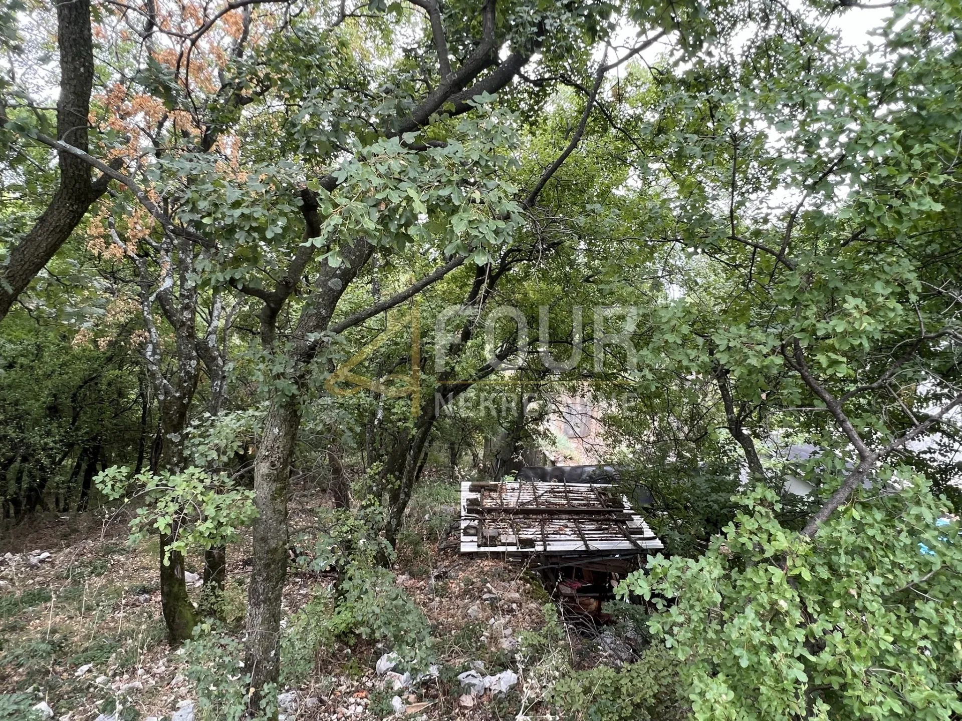 hreljin, ruševina s okućnicom od 1.617m2 - slika 6