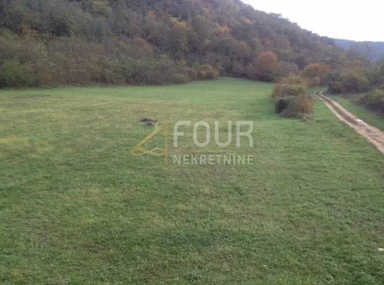 istra, kanfanar, poljoprivredno zemljište 13.270m2 - slika 2