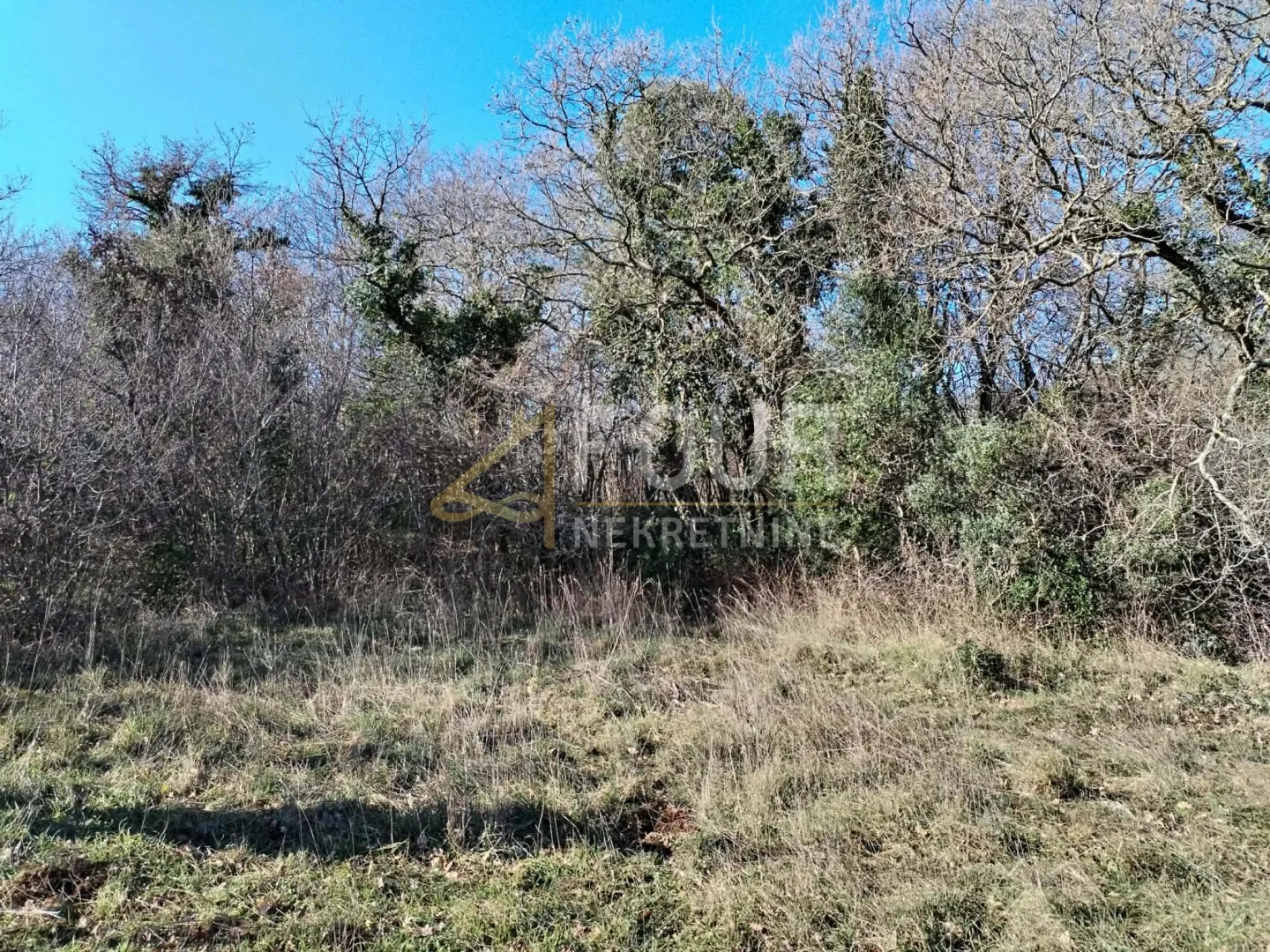 istra, valtura, poljoprivredno zemljište 3.376m2 - slika 3