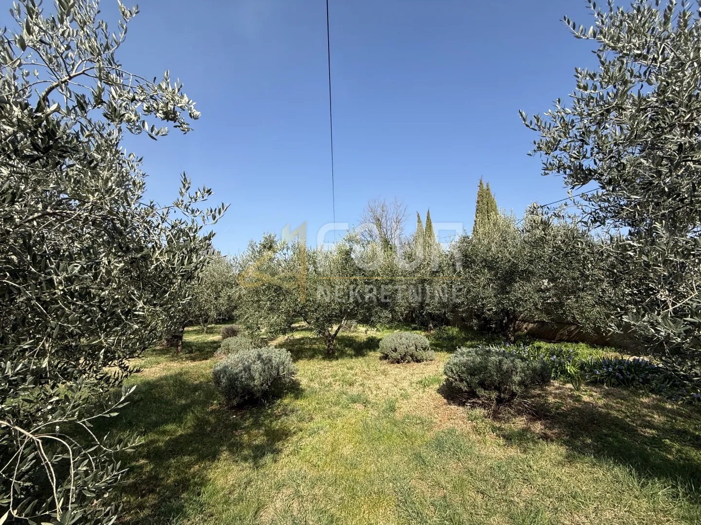 istra, galižana, samostojeća kuća, 421,51m2 - slika 32