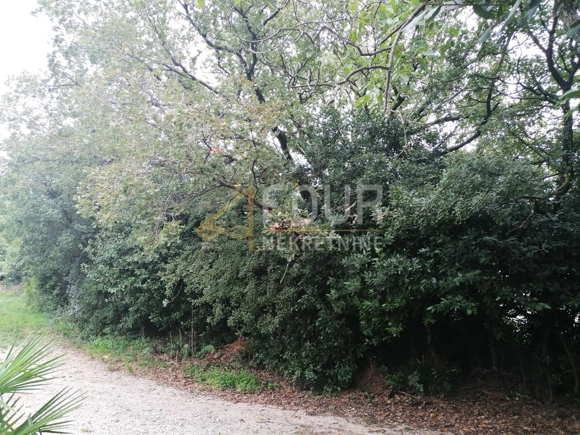 Kostrena, građevinsko zemljište 3.281m2, pogled na more - Rožmanići, Kostrena