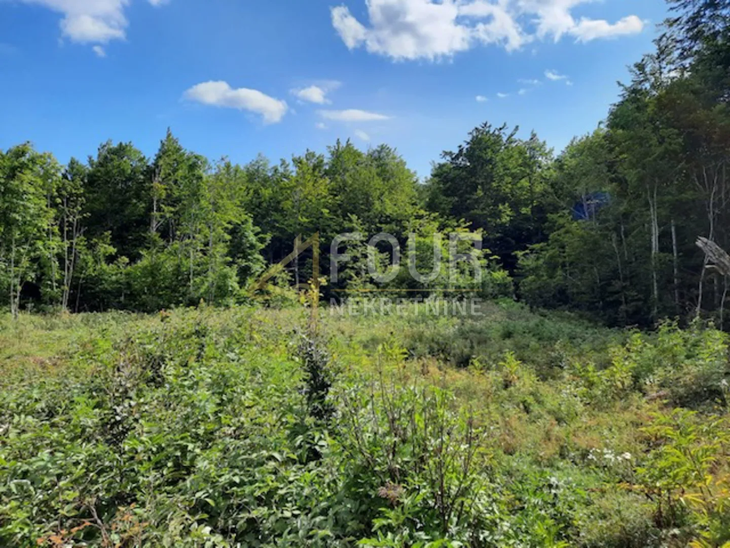 gorski kotar, lič, poljoprivredno zemljište, 9.794m2 - slika 3