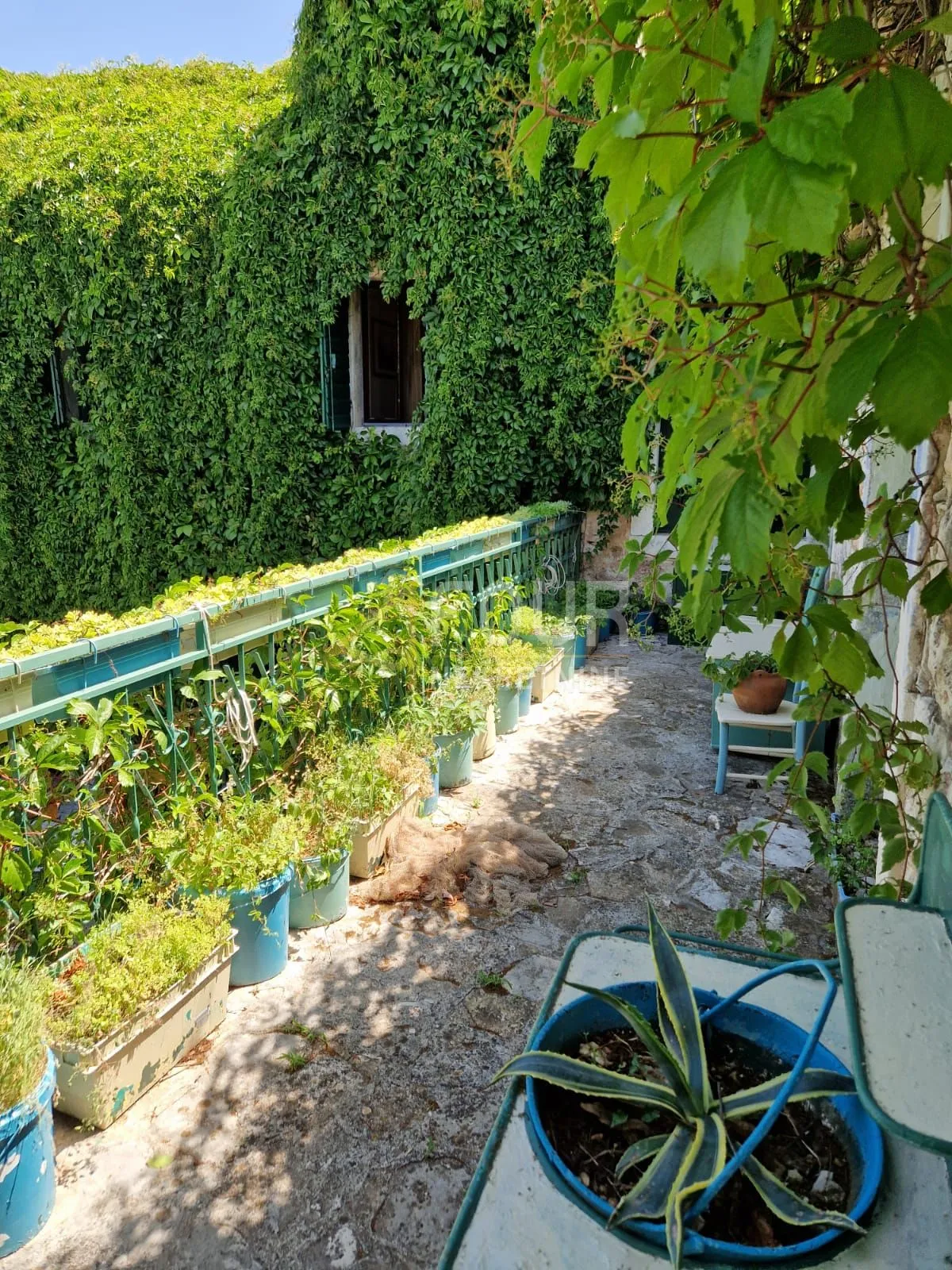 otok brač, nerežišća, šarmantna kamena kuća - slika 8