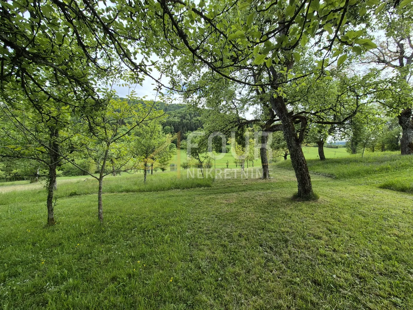 gorski kotar, brod moravice - stari lazi, imanje, samo kod nas! - slika 2