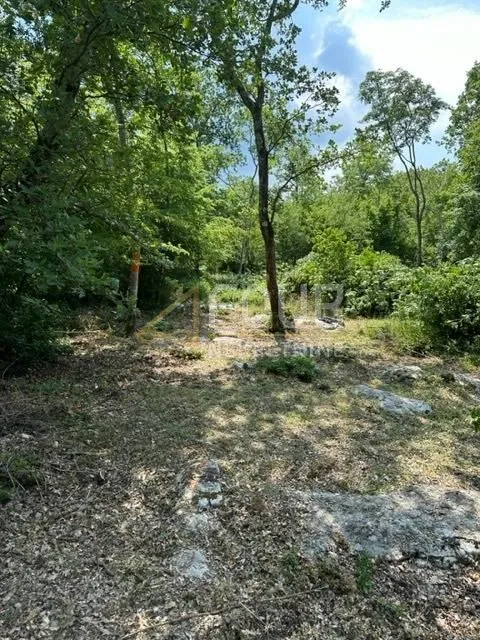 Istra, Poreč, poljoprivredno zemljište 4.756m2