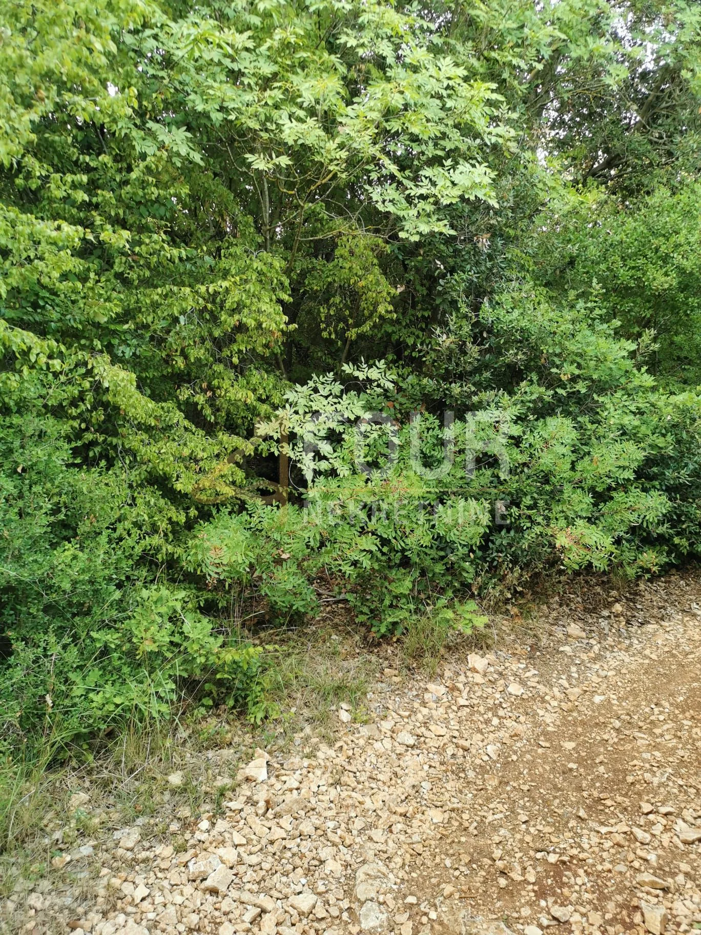 Istra, Valtura, poljoprivredno zemljište - Valtura, Ližnjan