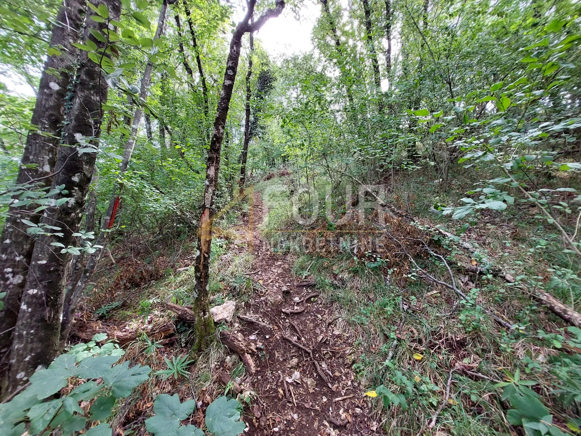 veprinac, poljoprivredno zemljište 4013m2 - slika 2