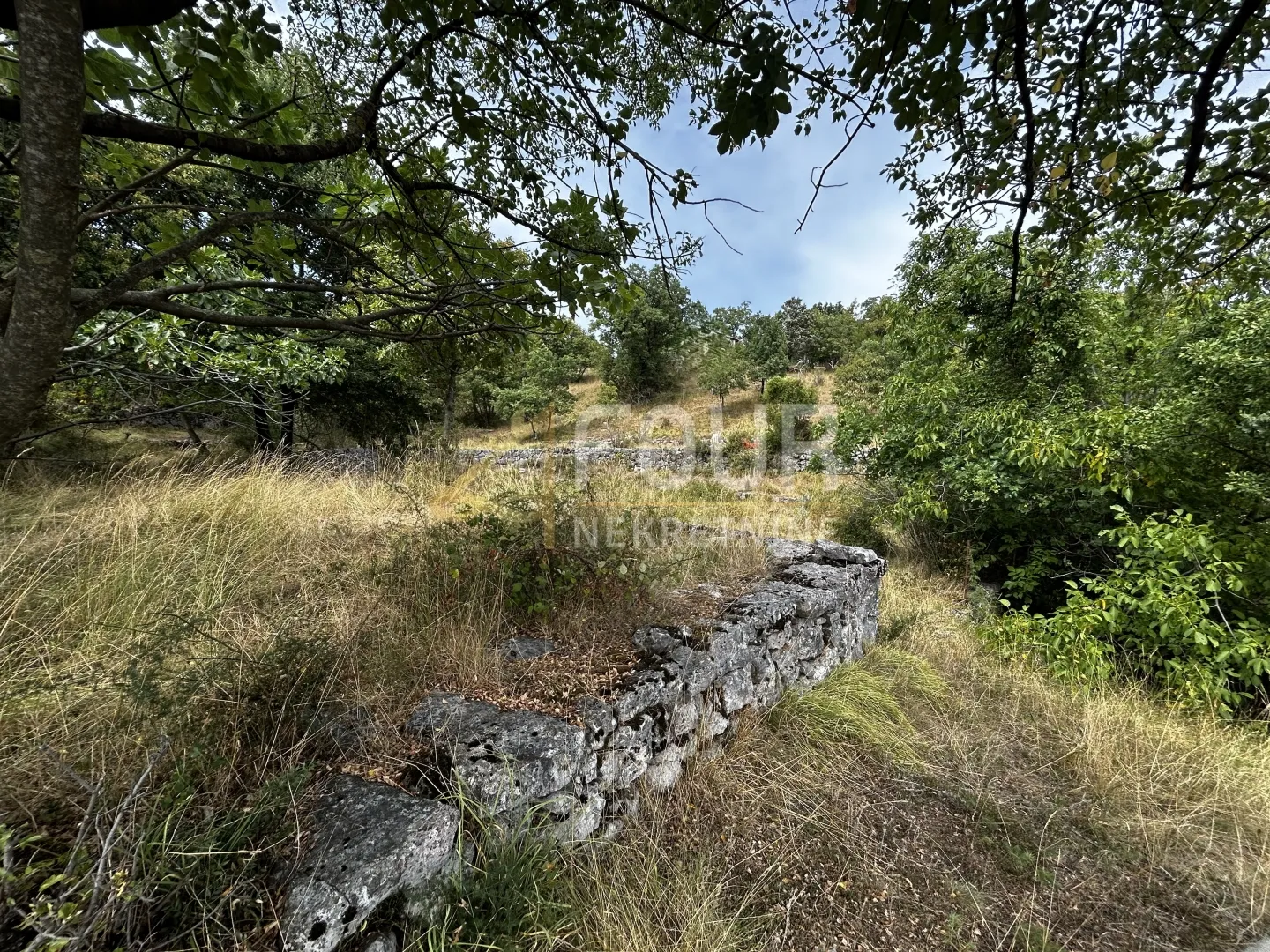 kastav, građevinsko zemljište 5.250m2 - slika 2