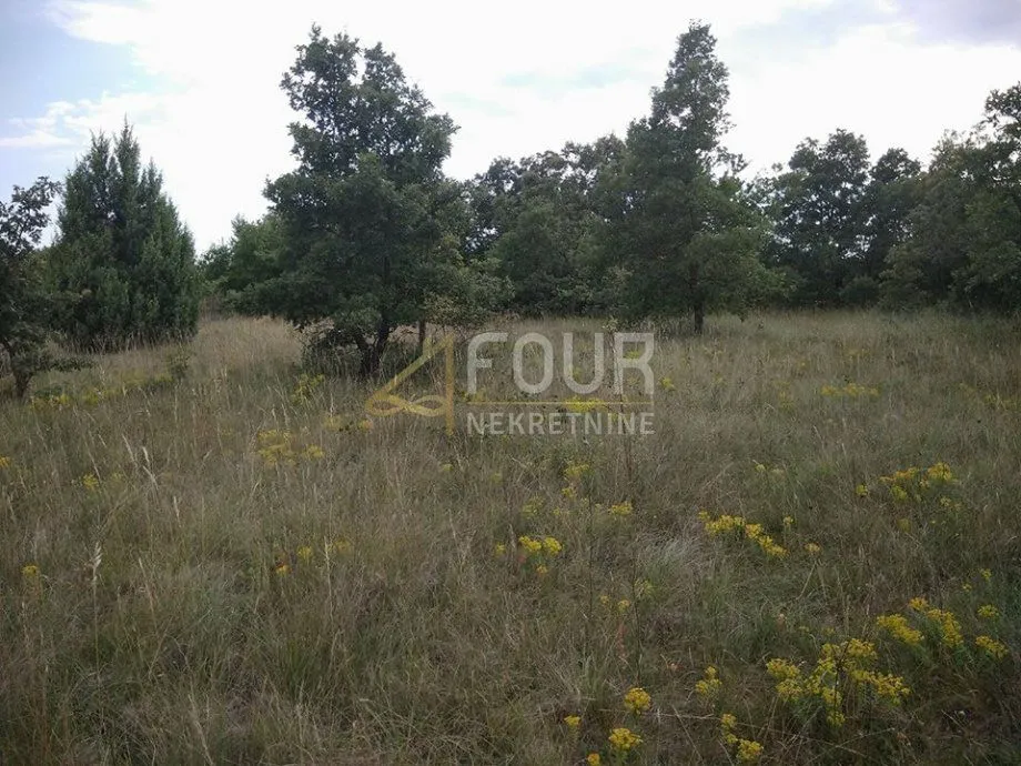 istra, svetvinčenat, poljoprivredno zemljište 8.700m2 - slika 6