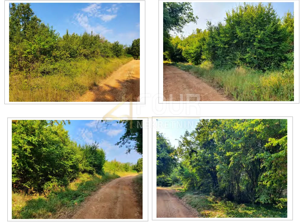 Istra, Kaštelir, poljoprivredno zemljište, 13.182m2 - Labinci, Kaštelir - Labinci