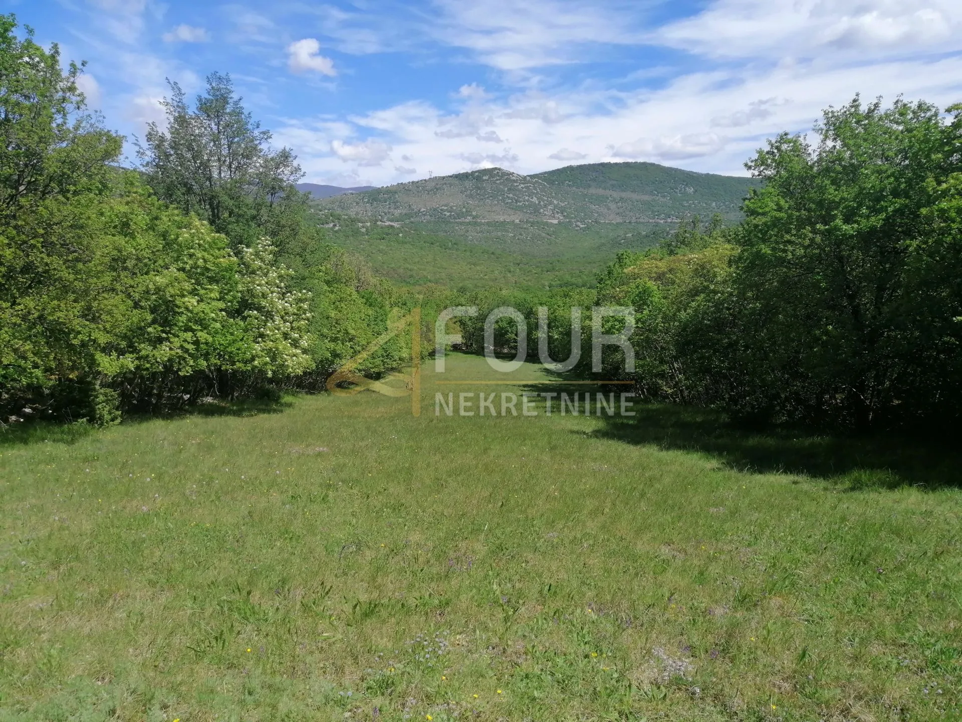 škrljevo, zemljište 9.925m2 - slika 3