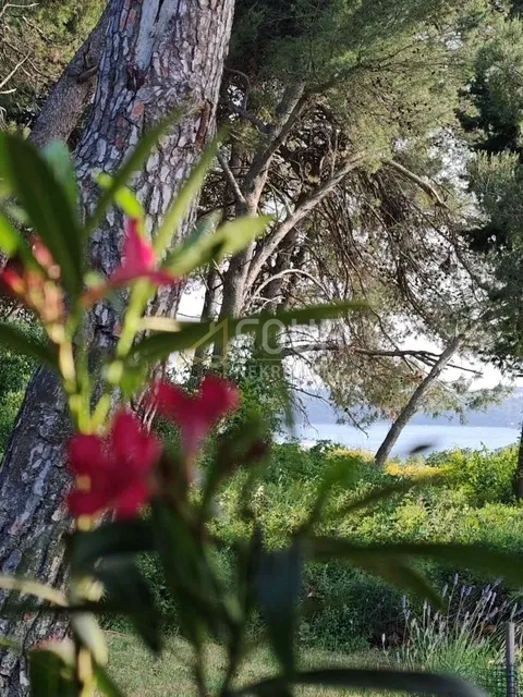 Istra, Medulin, 2 apartmana, okućnica, pogled na more
