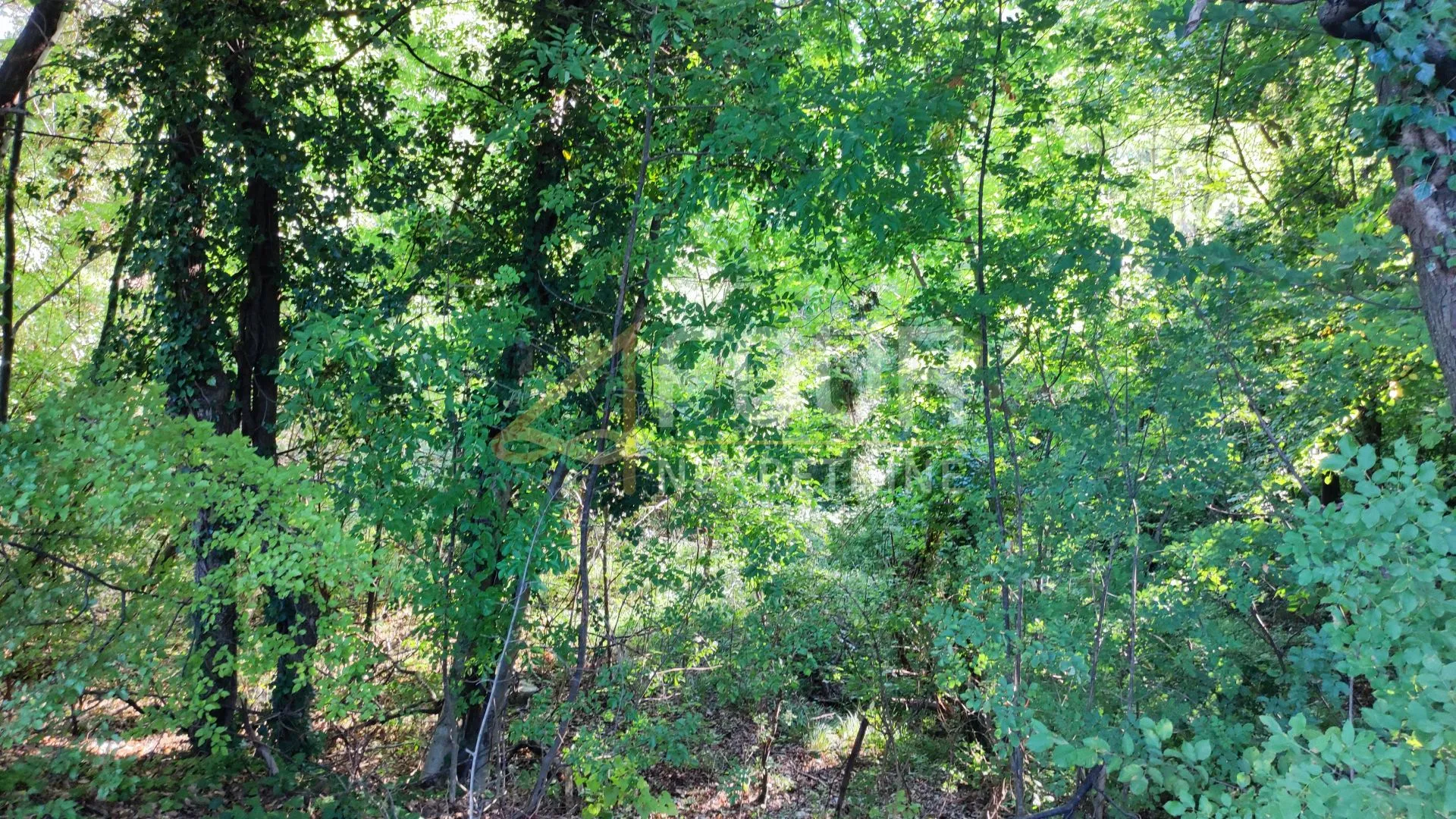 Jelenje, građevinsko zemljište 2442m2 - Dražice, Jelenje