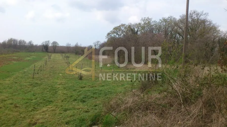 Istra, Svetvinčenat, Juršići, poljoprivredno zemljište 2.119m2 - Juršići, Svetvinčenat