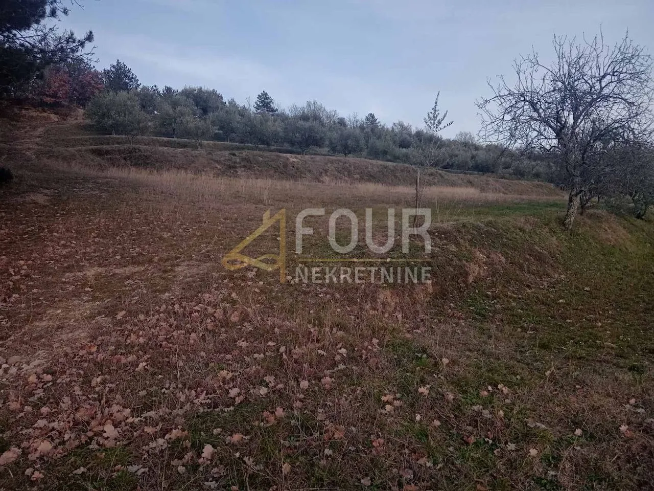 istra, buzet - okolica, građevinsko zemljište 2.744m2 - slika 8