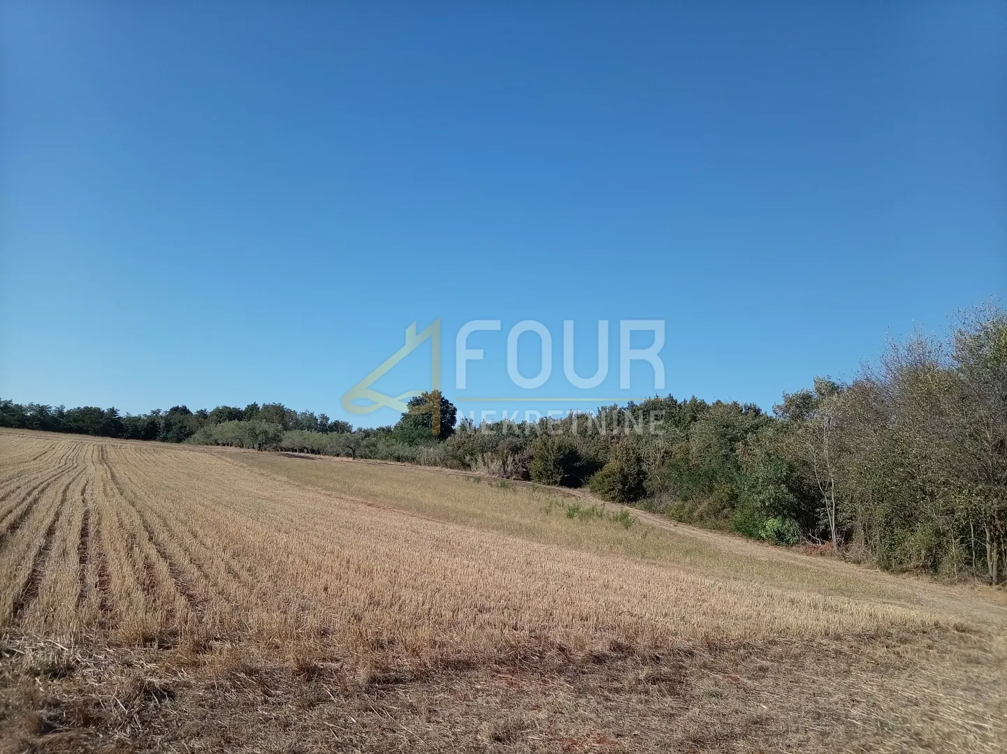 istra, umag - okolica, poljoprivredno zemljište, 12.535m2 - slika 6