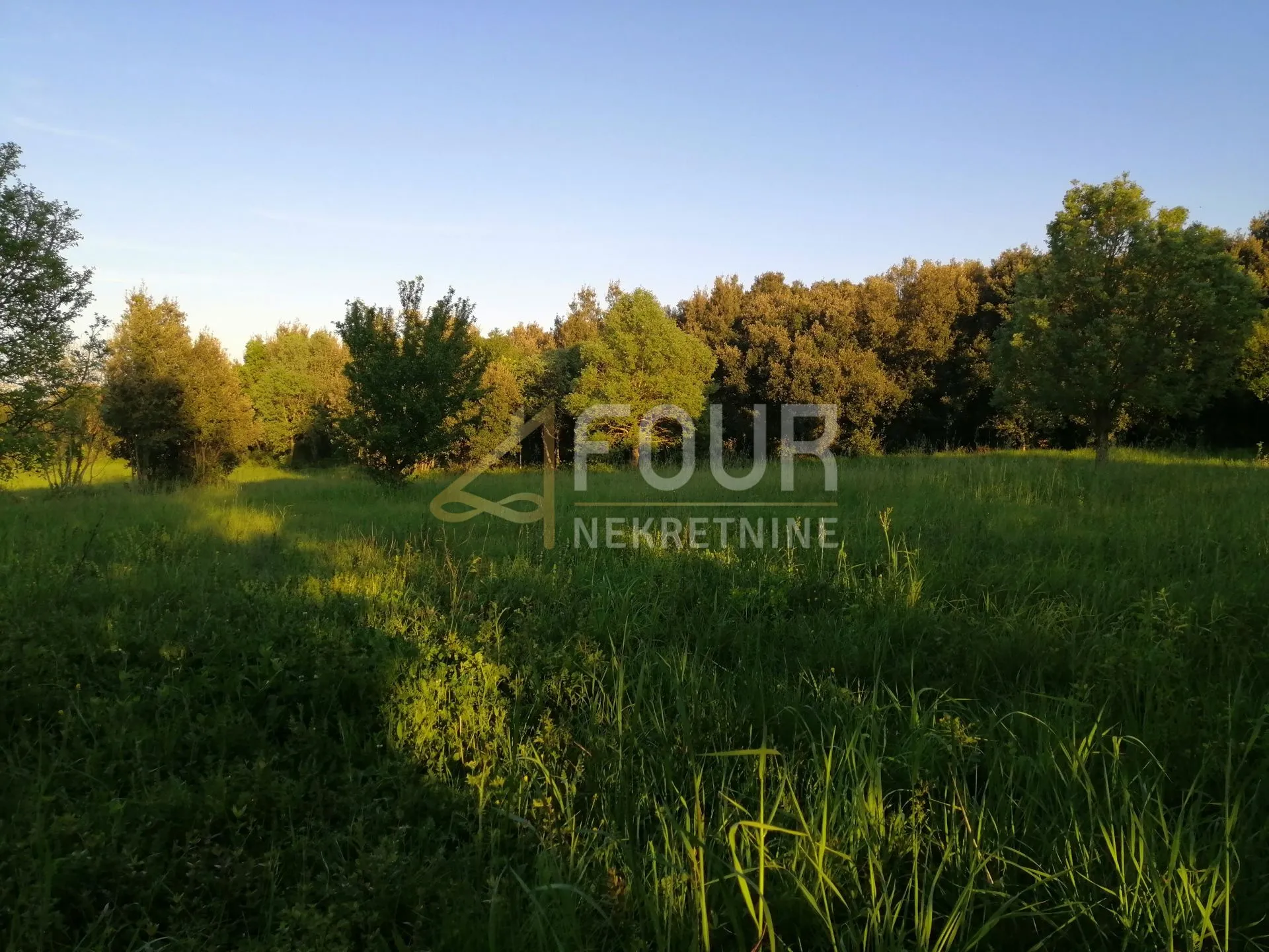 istra, ližnjan, poljoprivredno zemljište 3.143m2 - slika 2