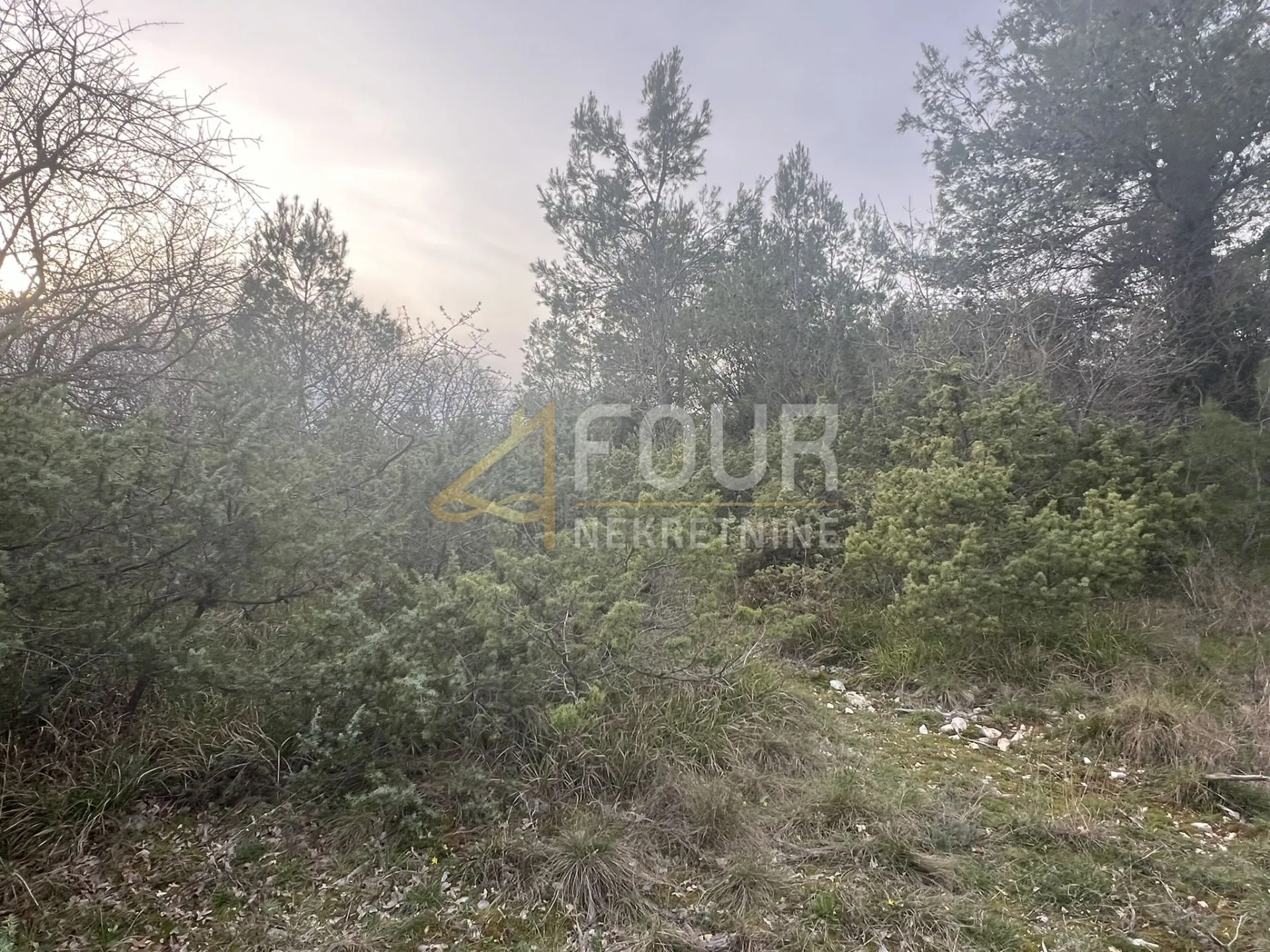 istra, barban, građevinsko zemljište 1.625m2 - slika 2