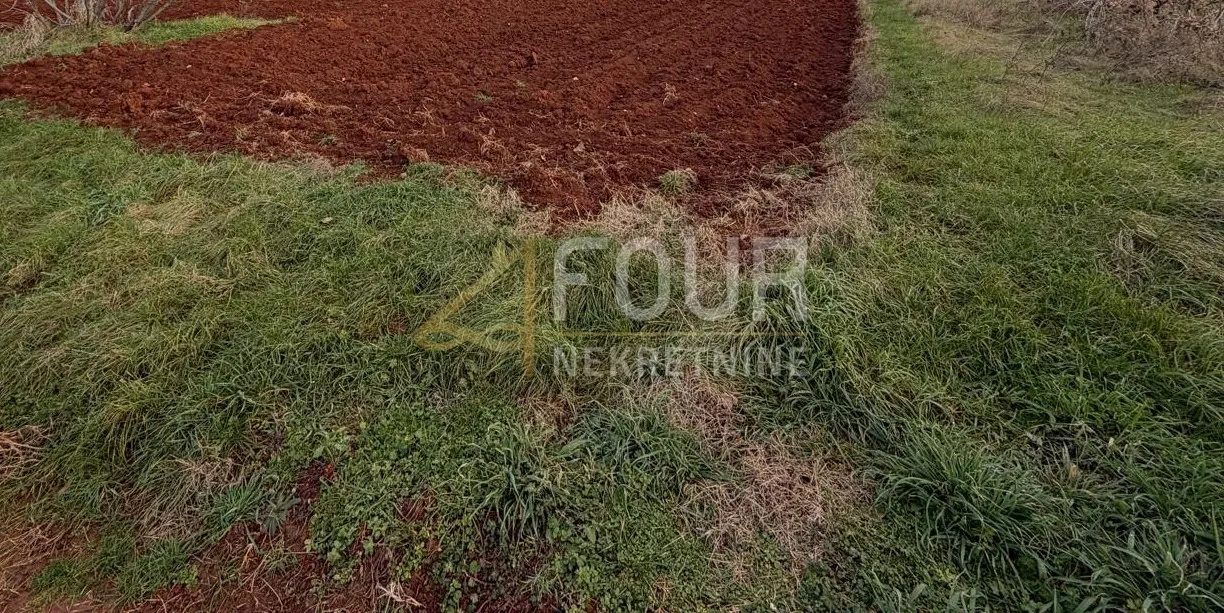 istra, poreč - okolica, poljoprivredno zemljište,1180m2 - slika 2