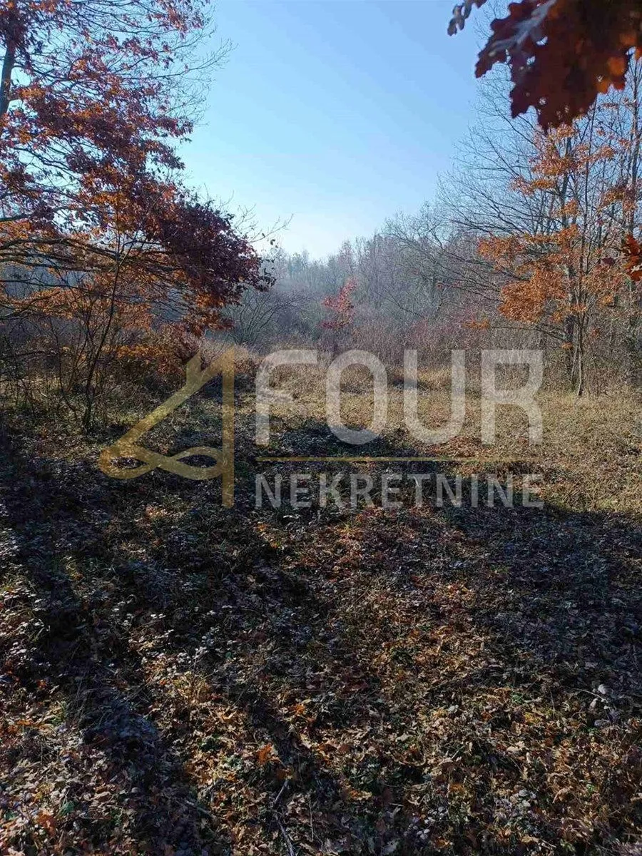 Istra, Poreč, poljoprivredno zemljište 2.507m2