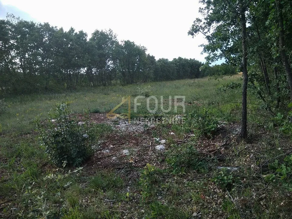 istra, svetvinčenat, poljoprivredno zemljište 2.990m2 - slika 9