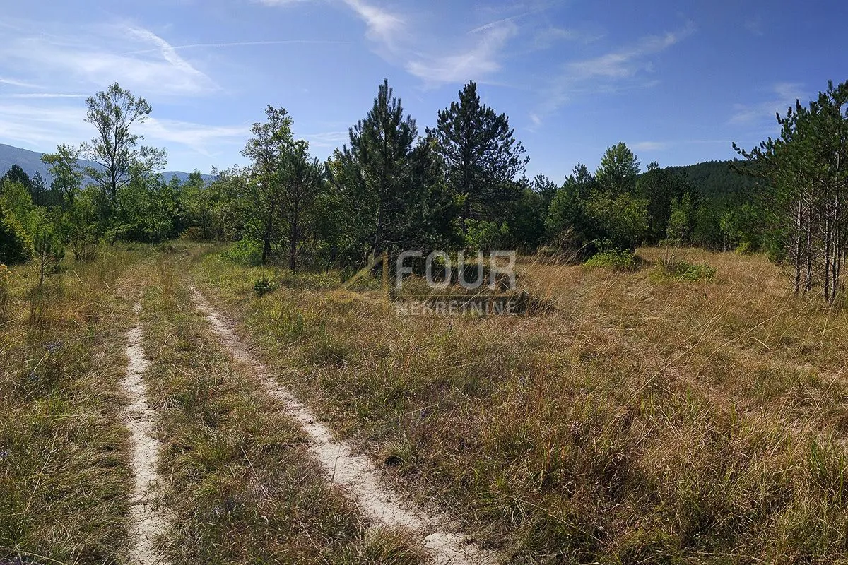 istra, kršan, zemljište 10.091m2 - slika 2