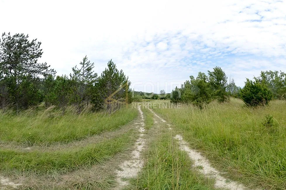 istra, kršan, zemljište 10.091m2 - slika 5