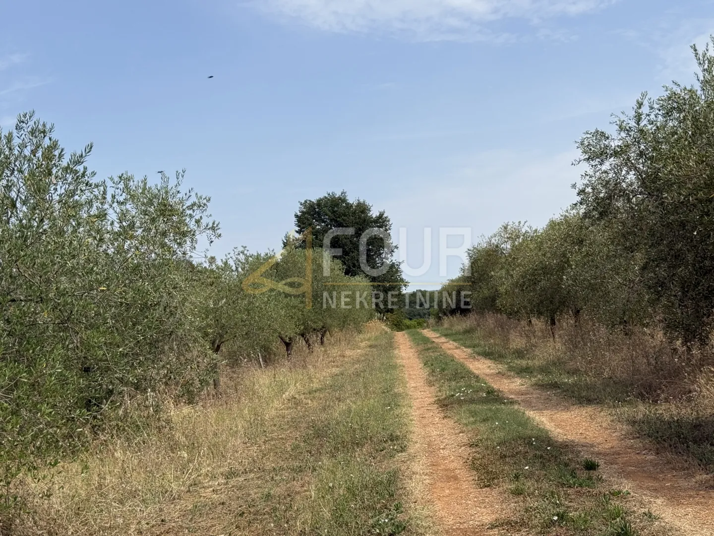 istra, vodnjan, gospodarska zgrada, 100m2 - slika 2
