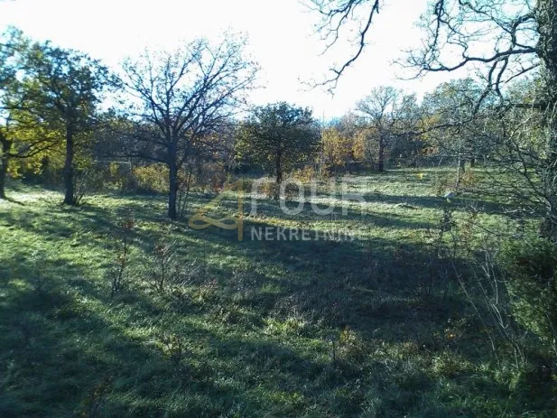 krasica, građevinsko i poljoprivredno zemljište, 7.768m2 - slika 4