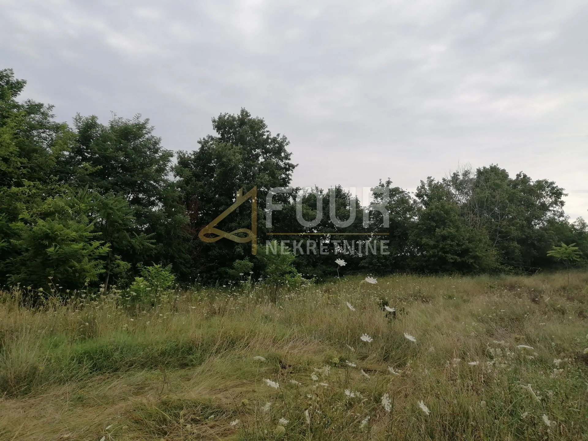 Istra, Kringa, poljoprivredno zemljište 1348m2 - Kringa, Tinjan