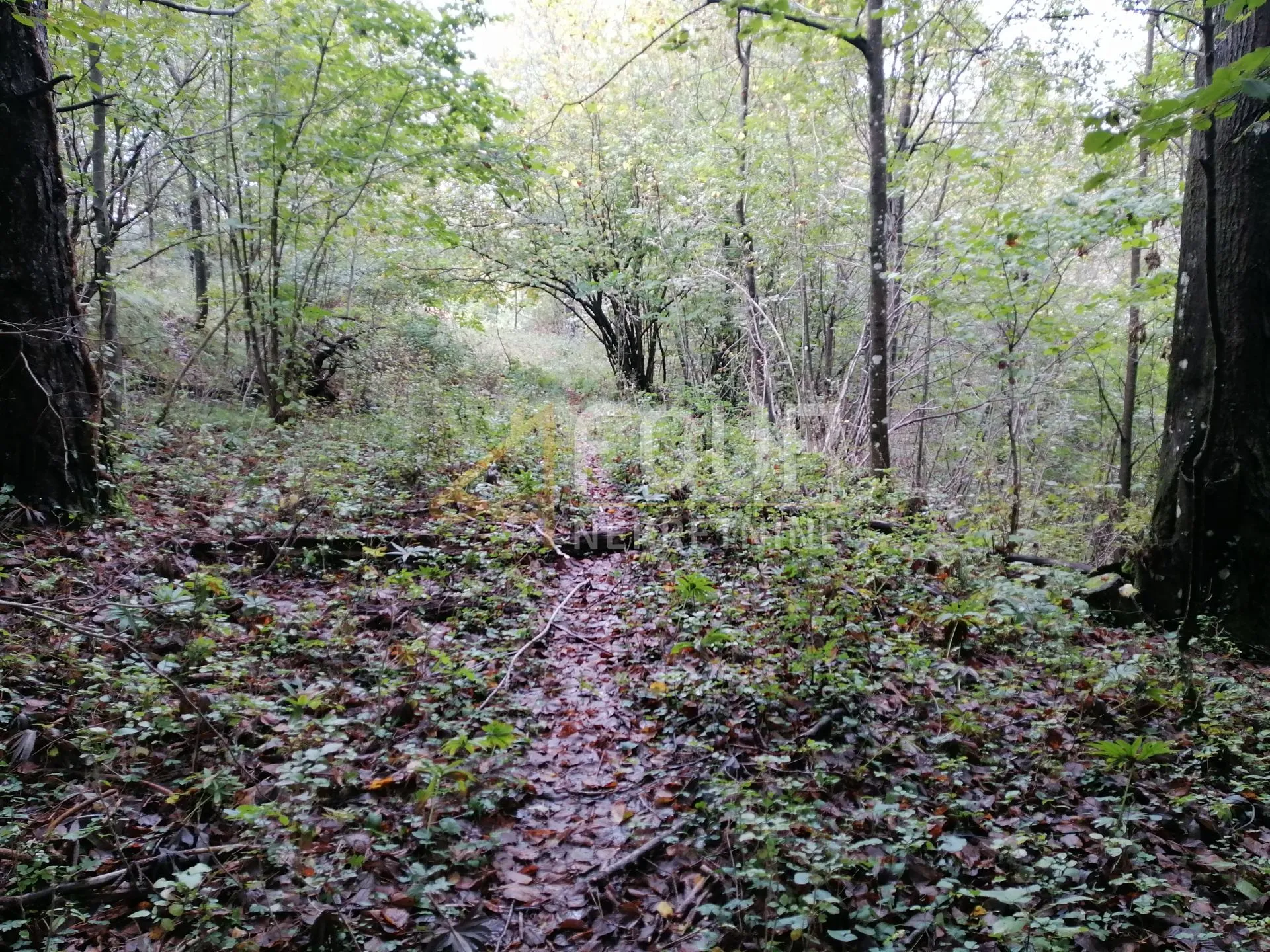klana, građevinsko zemljište 8.493m2 - slika 4