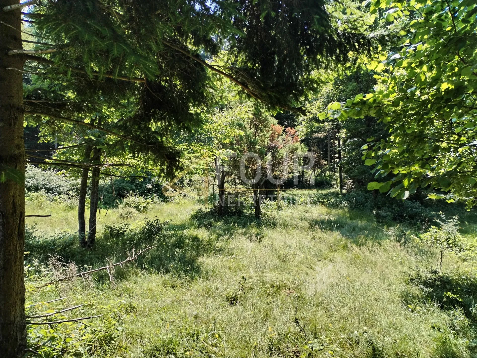 klana, poljoprivredno zemljište 392m2 - slika 2