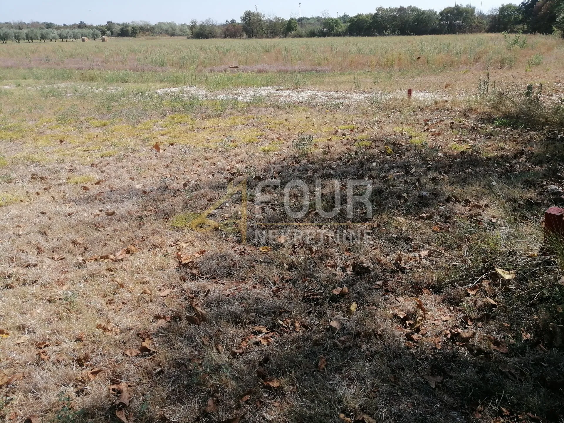 istra, marčana, poljoprivredno zemljište, 500m2 - slika 2