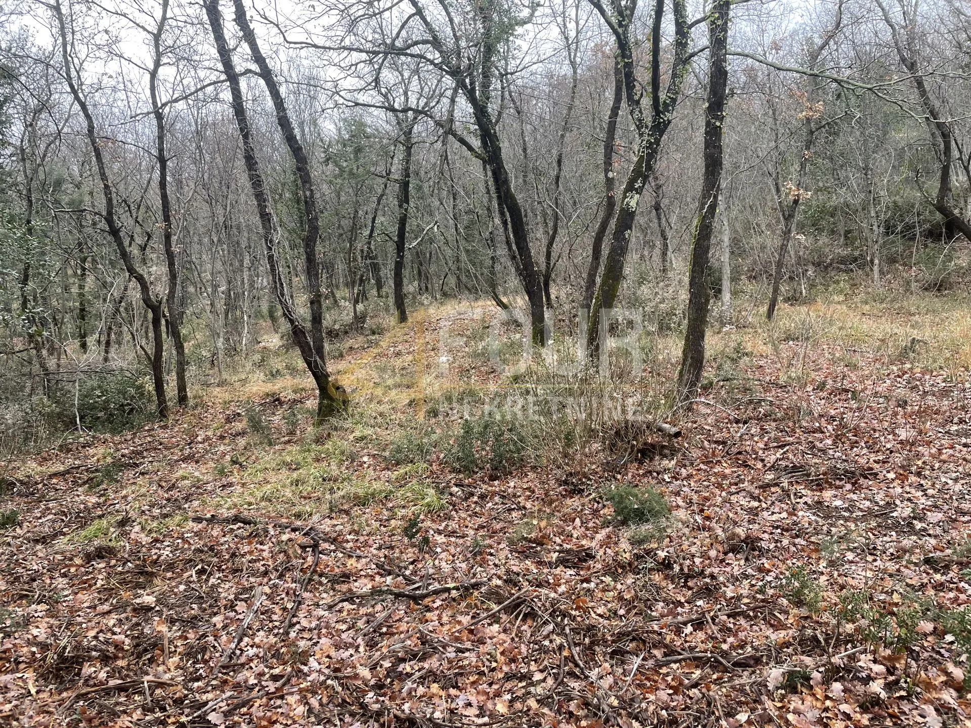 brseč, građevinsko zemljište od 874m2 - slika 3