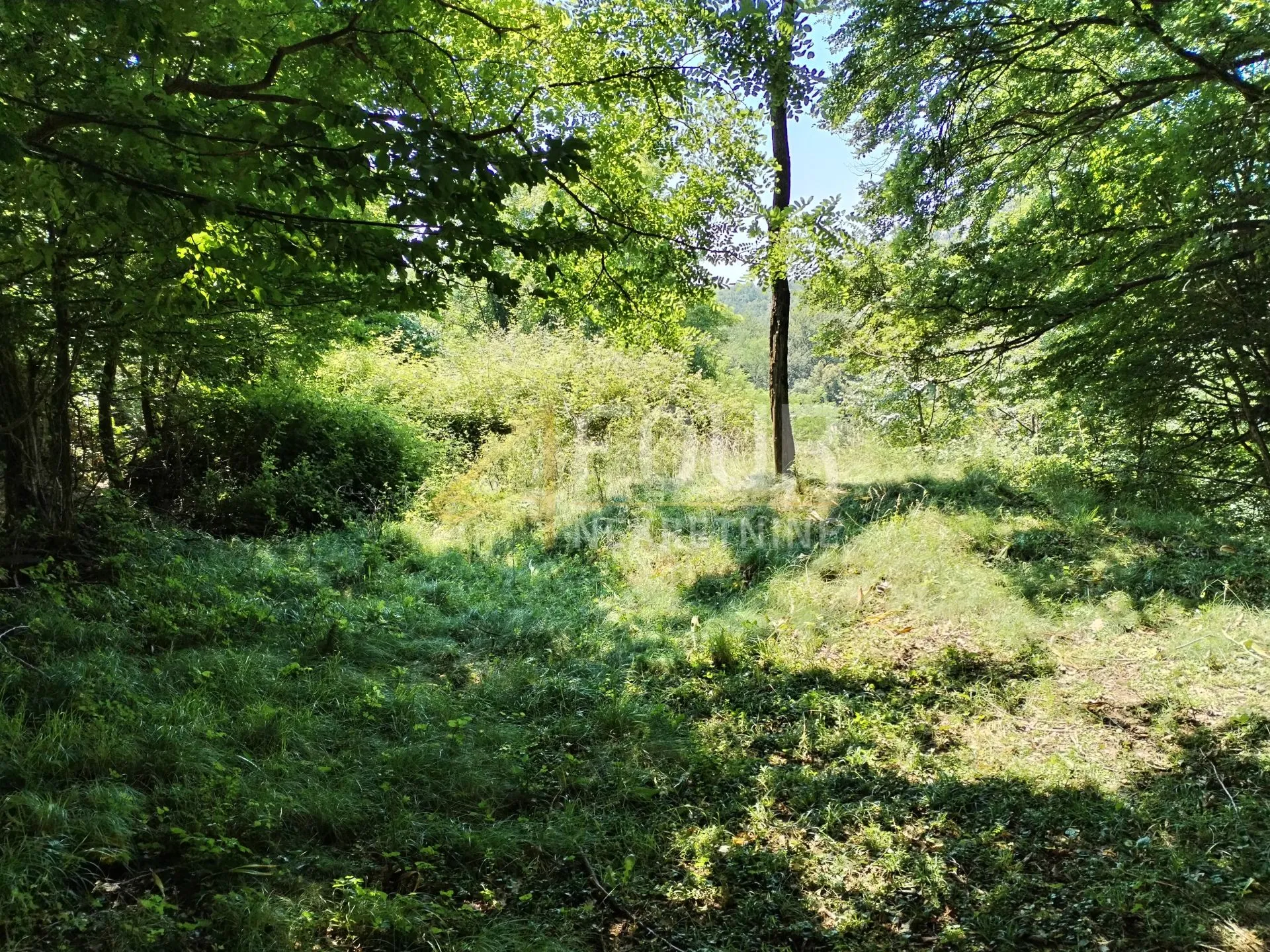 Klana, Studena, poljoprivredno zemljište 426m2 - Studena, Klana
