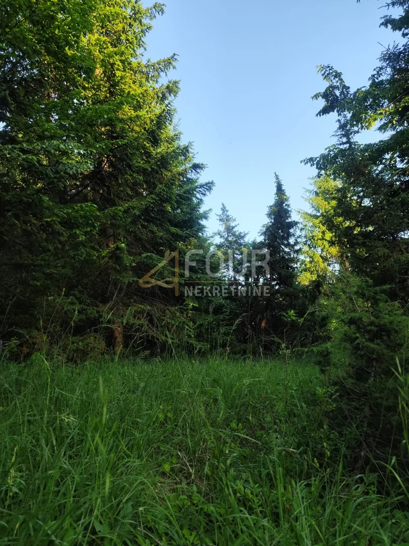gorski kotar, brod moravice - okolica, poljoprivredno zemljište 2.201m2 - slika 2
