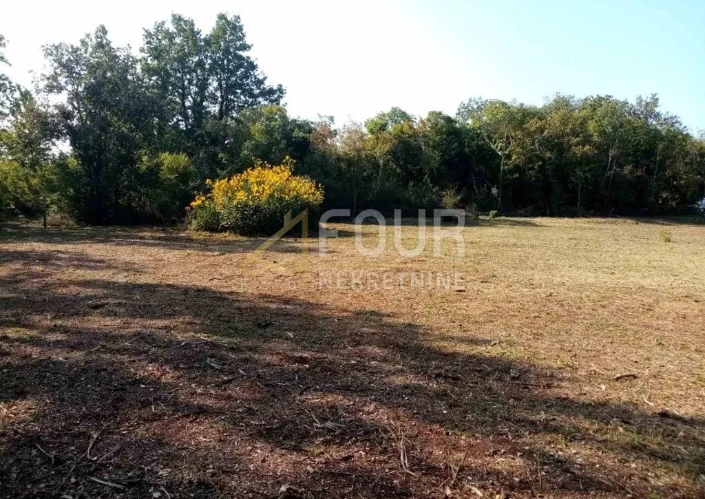 istra, poreč - okolica, poljoprivredno zemljište, 2.663m2 - slika 3