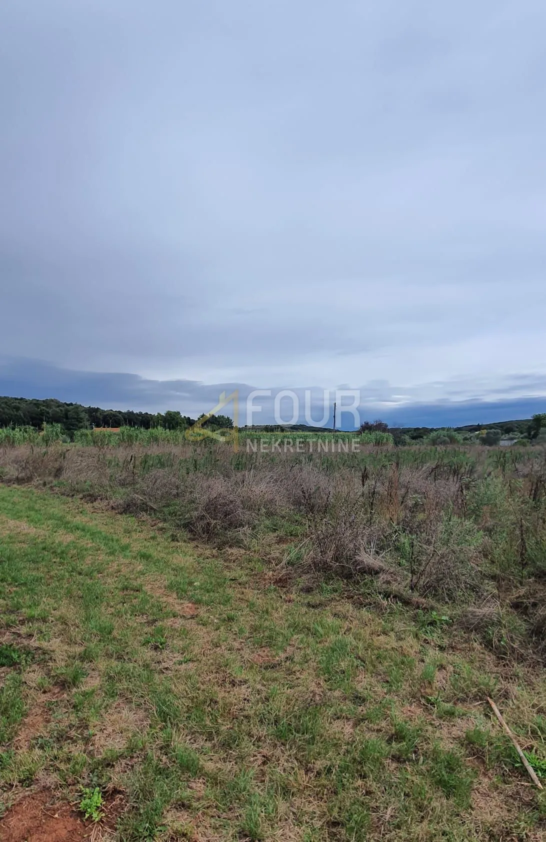 istra, rovinj, poljoprivredno zemljište 5000m2 - slika 2