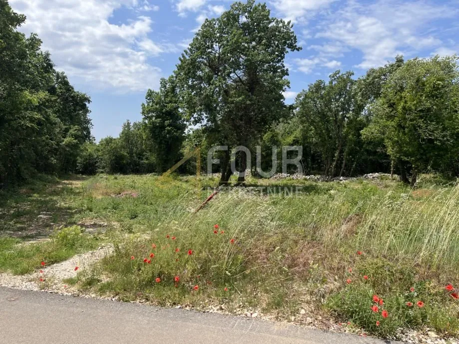 Istra, Sveti Lovreč, građevinsko zemljište 1.350m2 - Sveti Lovreč Pazenatički