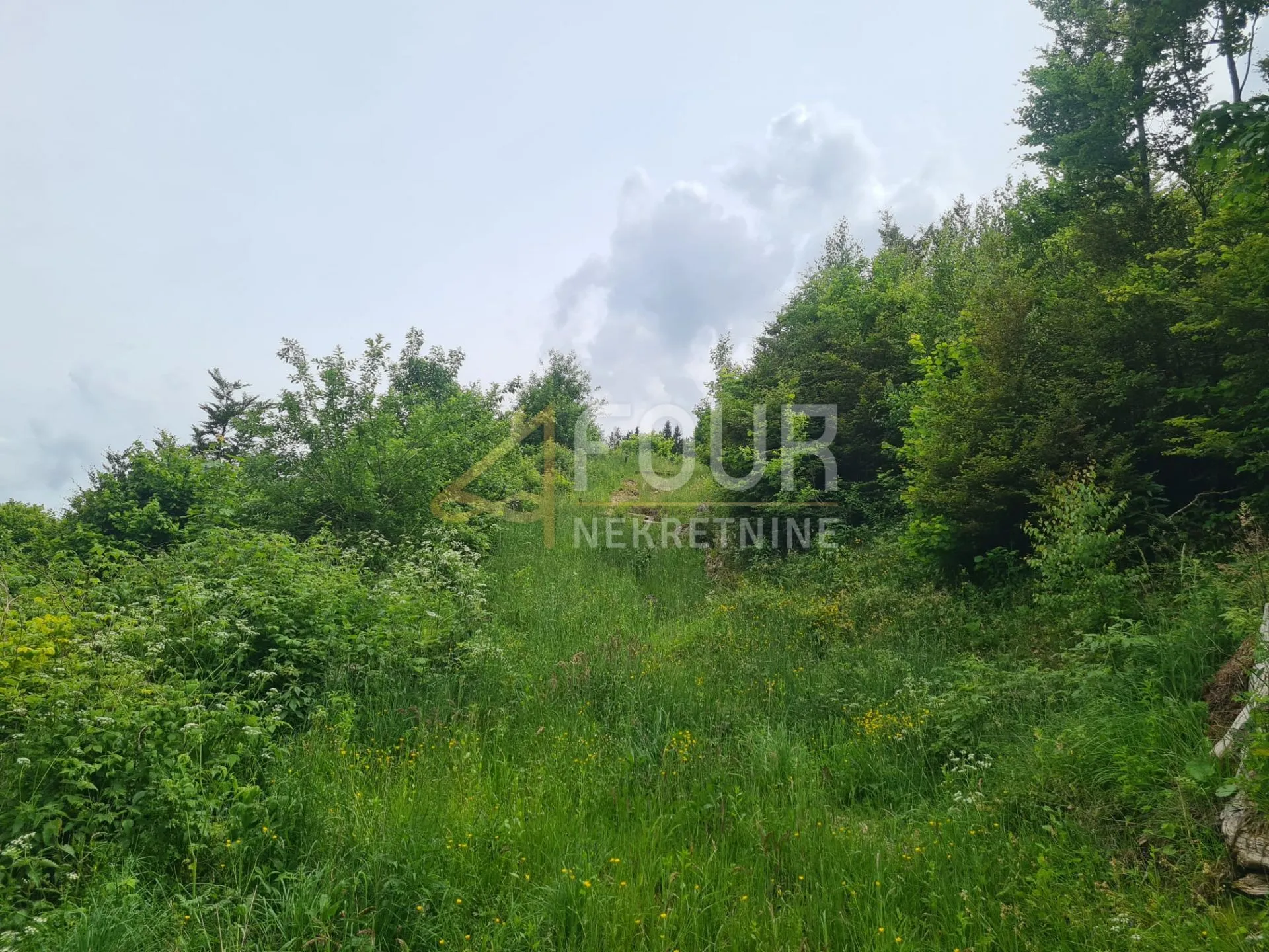 gorski kotar, mrkopalj - okolica, zemljište 6.000m2 - slika 2