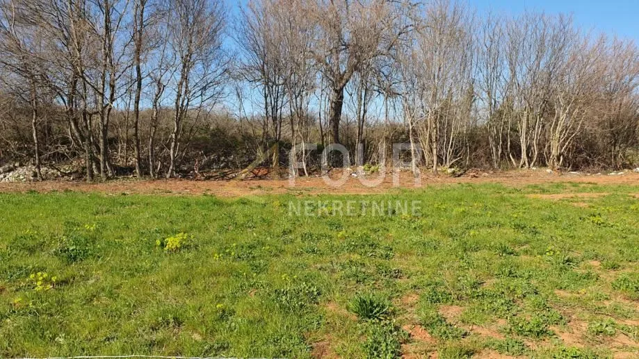 istra, vodnjan, poljoprivredno zemljište 4.385m2 - slika 8