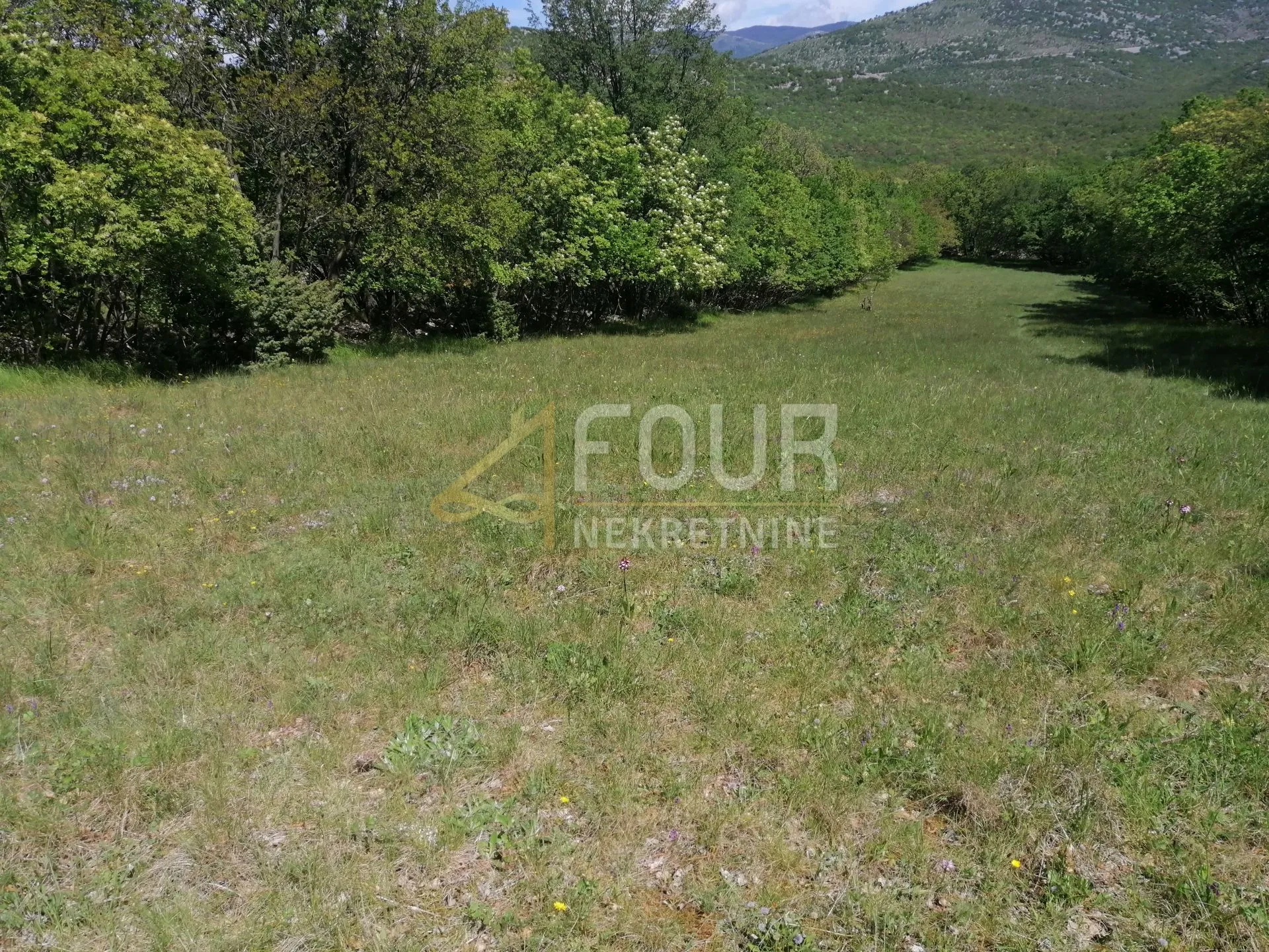 škrljevo, zemljište 9.925m2 - slika 6